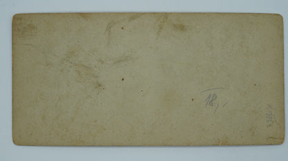 Fotografie PANORAMA VOM BRAUHAUSBERGE (x18864)