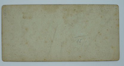 Fotografie LEIPZIG UND UMGEBUNG (x18872)