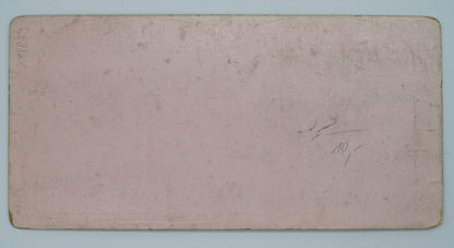 Fotografie TOUR DE LA BATIAZ ET VUE (x18873)