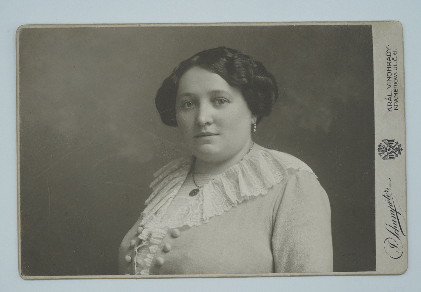 Fotografie ŽENA V ŠATECH JANA SCHUMPETRA KRÁL. VYNOHRADY (x18906)
