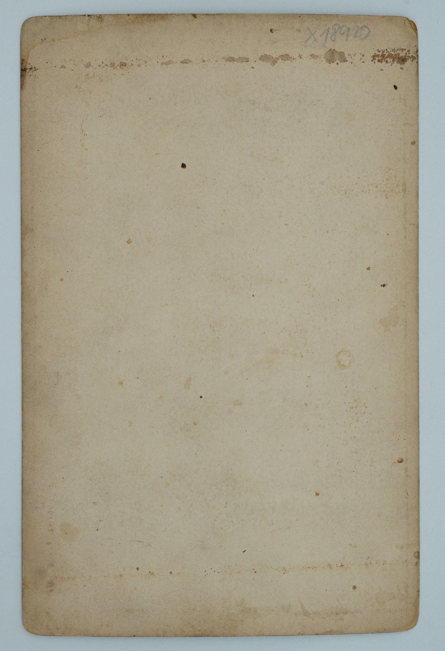 Fotografie ANGELICA KAUFMANN: SIBYLLA PHOTOGR. U. VERLAG V. F.(x18920)