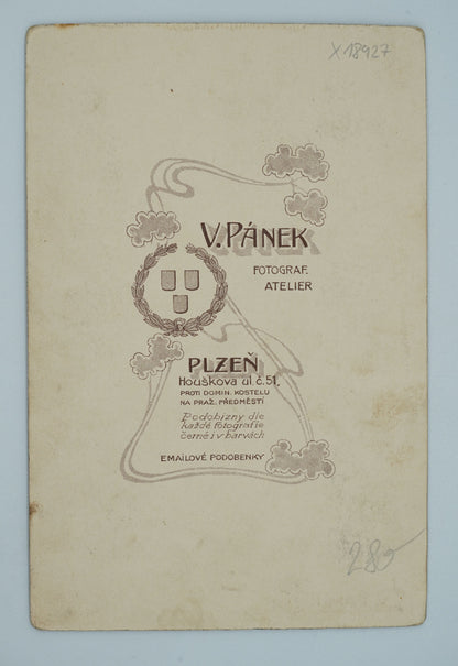 Fotografie SVATBA V. PÁNEK PLZEŇ (x18927)