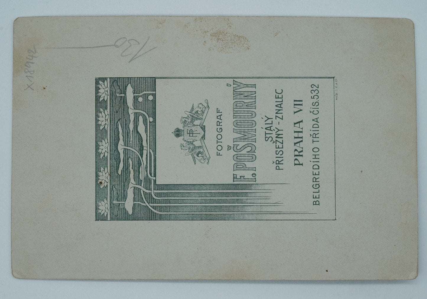 Fotografie RODINA F. POŠMOURNÝ (x18942)