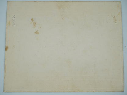 Fotografie HOLČIČKA V ŠATECH (x18966)