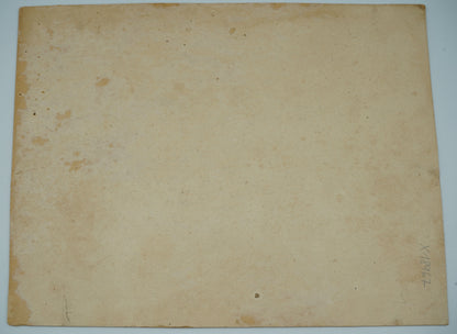 Fotografie ZÁKLADNÍ ŠKOLA (x18967)