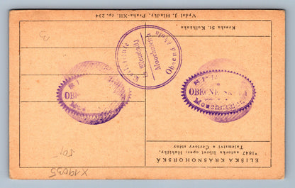 Pohlednice ELIŠKA KRÁSNOHORSKÁ (x19035)