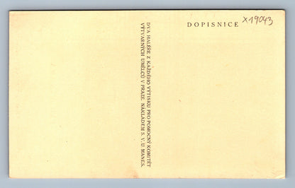 Pohlednice JAN NERUDA (x19043)