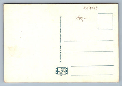Pohlednice ANN TODD (x19113)