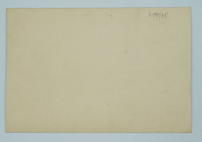 Fotografie RODINA (x19178)