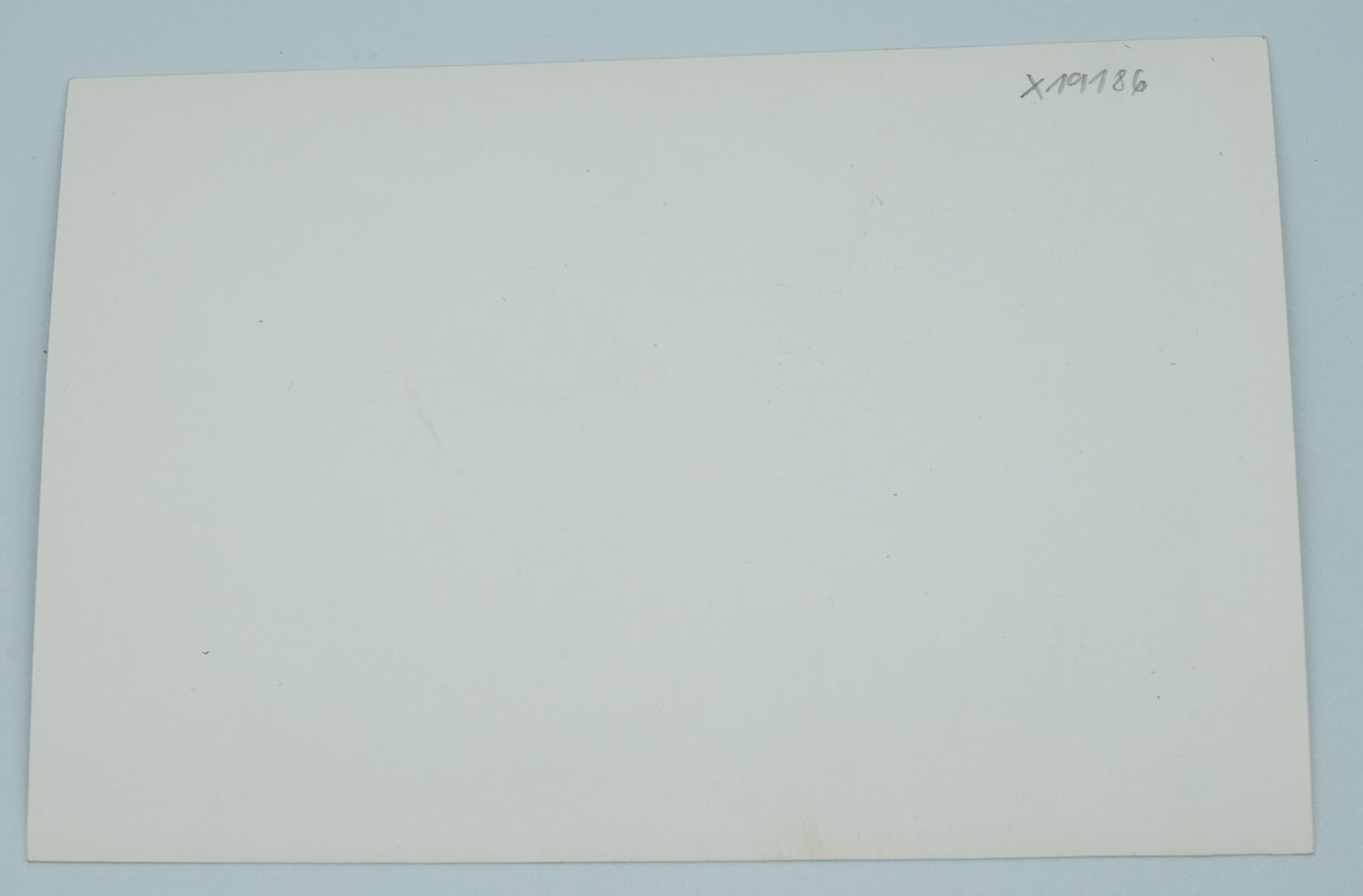 Fotografie SVATBA (x19186)