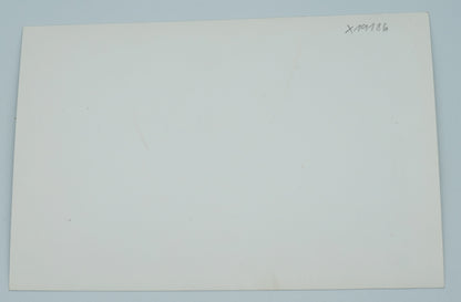 Fotografie SVATBA (x19186)