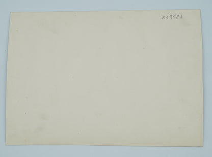 Fotografie MATKA A DÍTĚ (x19187)
