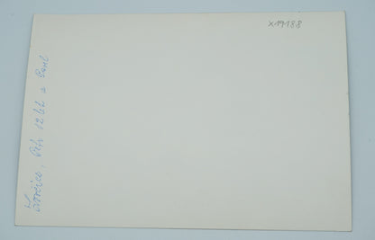 Fotografie PETR A PAVEL (x19188)