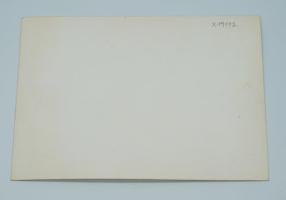 Fotografie TJ-ZVL ŽILINA (x19192)