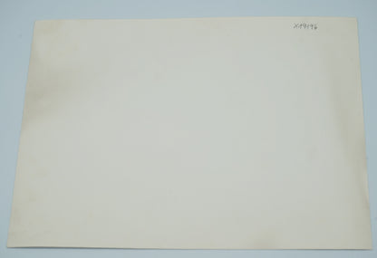 Fotografie DÍVKA V ŠATECH (x19196)