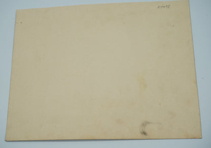 Fotografie ZÁKLADNÍ ŠKOLA (x19198)