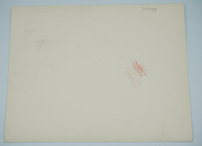 Fotografie DÍTĚ NA TROJKOLCE (x19203)