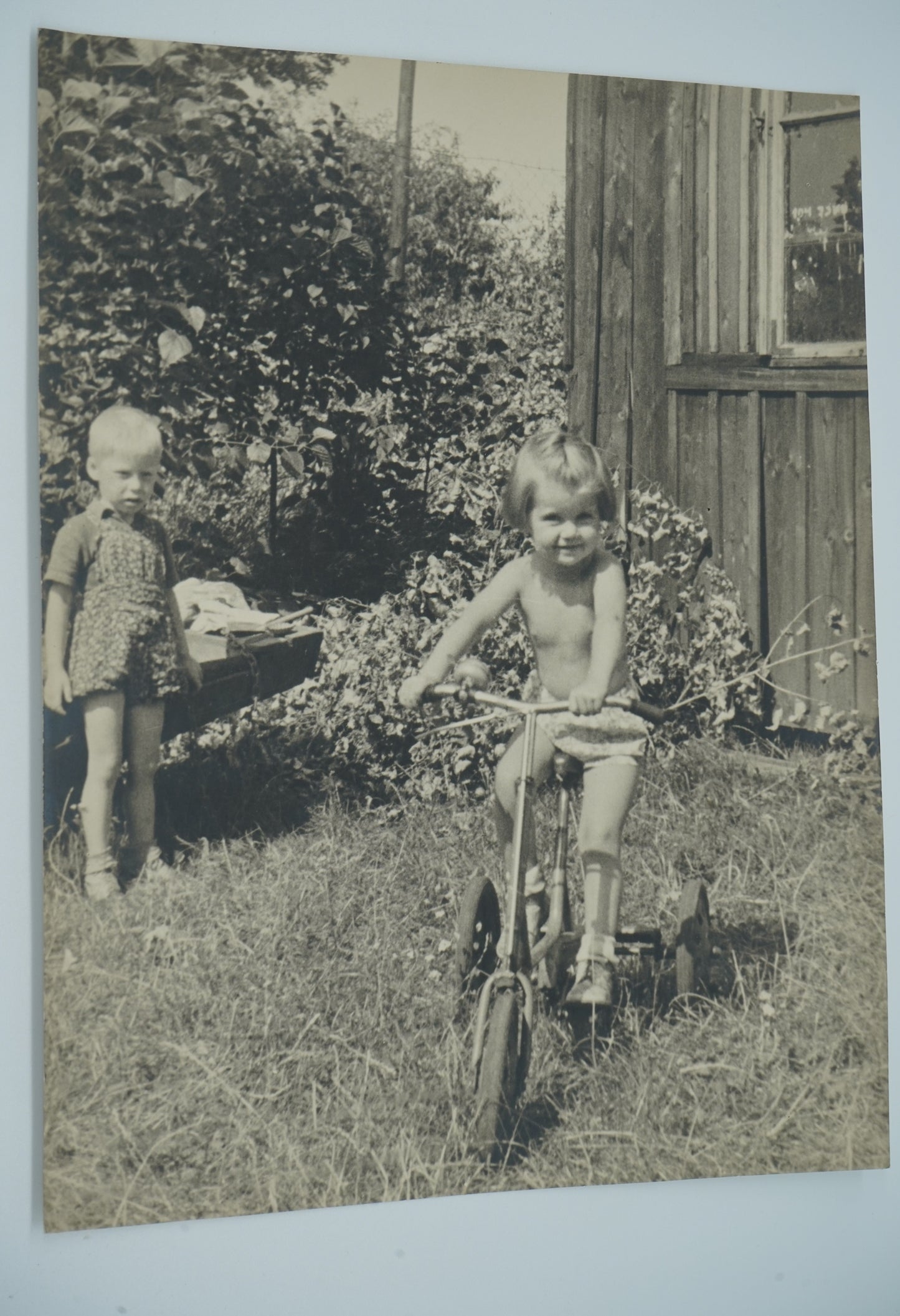 Fotografie DÍTĚ NA TROJKOLCE (x19203)