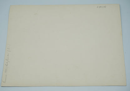 Fotografie DÍTĚ ČERVENEC 1952 ROKYTNICE (x19205)