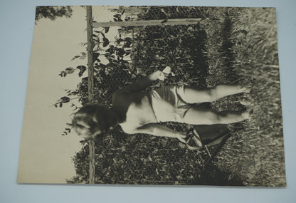 Fotografie DÍTĚ ČERVENEC 1952 ROKYTNICE (x19205)