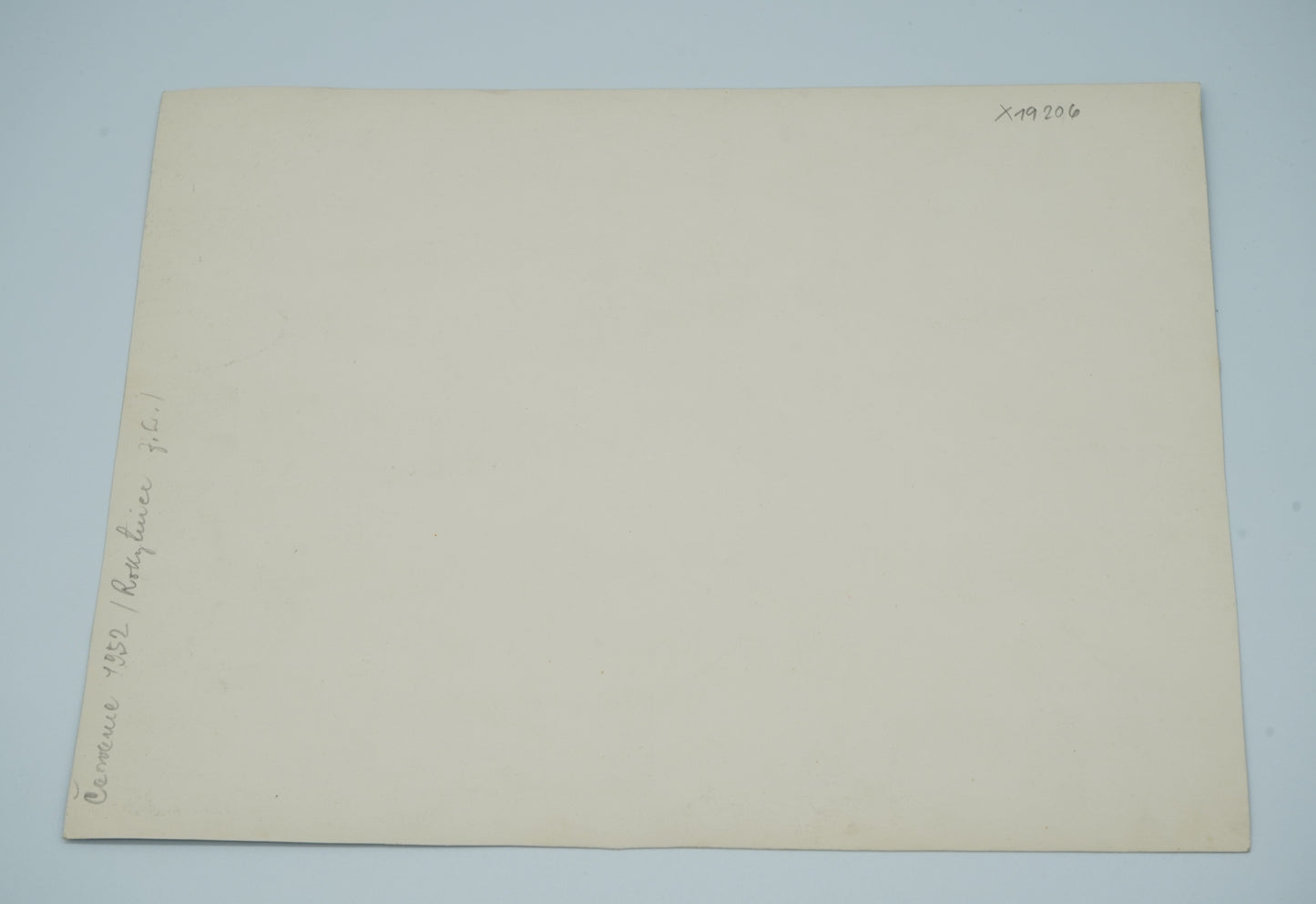Fotografie DÍTĚ A PES ČERVENEC 1952 ROKYTNICE (x19206)