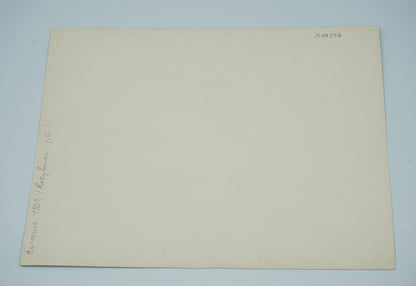 Fotografie DÍTĚ A PES ČERVENEC 1952 ROKYTNICE (x19206)