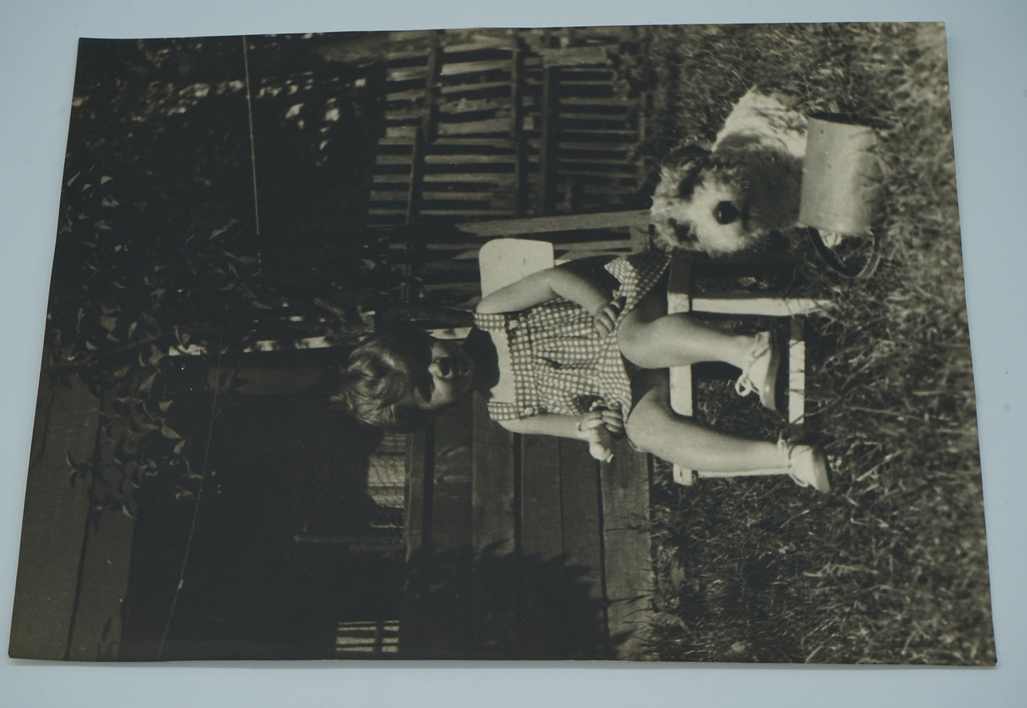 Fotografie DÍTĚ A PES ČERVENEC 1952 ROKYTNICE (x19206)