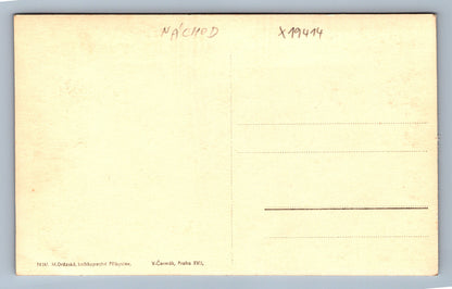 Pohlednice BOROVÁ - RODINÝ DOMEK HAVLÍČKA BOROVSKÉHO (x19414)