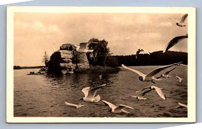 Pohlednice LETOVISKO DOKSY - ST. SPLAVY U MÁCHOVA JEZERA (x19478)