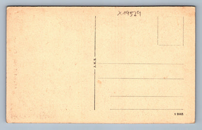 Pohlednice ADERSBAŠSKÉ SKÁLY (x19529)