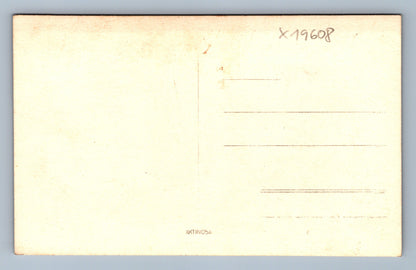 Pohlednice MUŽ V UNIFORMĚ (x19608)
