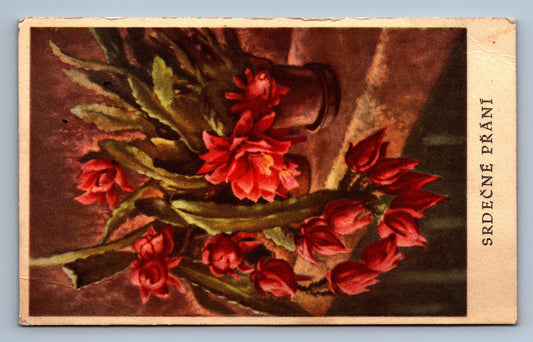 Pohlednice SRDEČNÉ PŘÁNÍ (x19658)