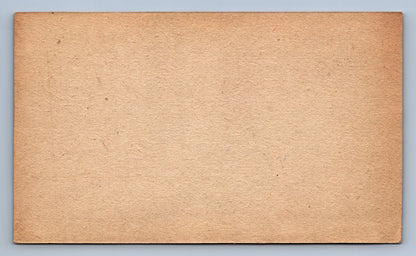 Pohlednice DOPISNICE POLNÍ POŠTA 59 (x19694)