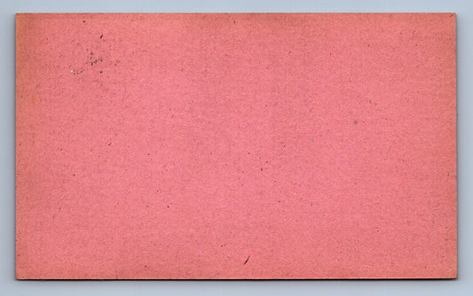 Pohlednice DOPISNICE POLNÍ POŠTA 59 (x19695)