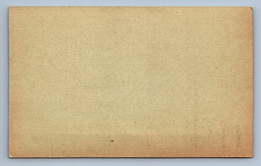 Pohlednice DOPISNICE POLNÍ POŠTA 59 (x19696)