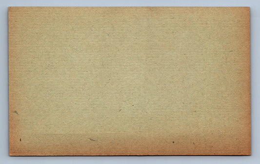 Pohlednice DOPISNICE POLNÍ POŠTA 59 (x19697)