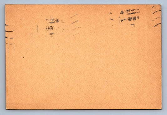 Pohlednice DOPISNICE BRÜNN 2 (x19732)