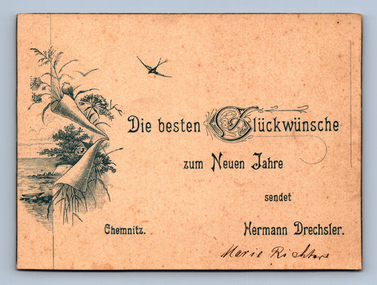 Pohlednice DIE BESTEN GLÜCKWÜNSCHE (x19790)
