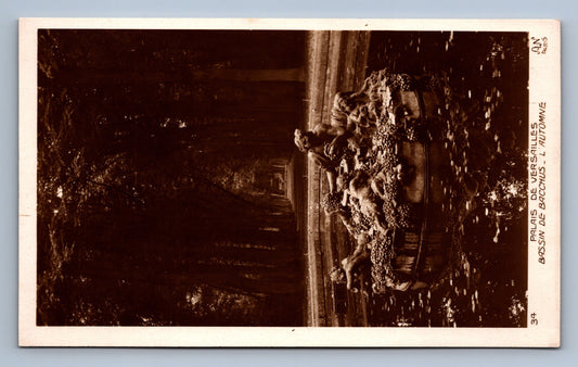 Pohlednice PALAIS DE VERSAILLES (x19818)