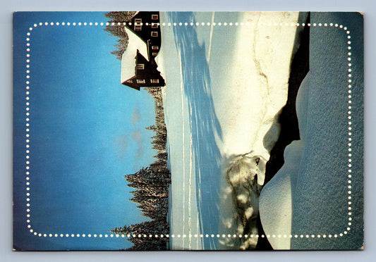 Pohlednice ŠŤASTNÝ NOVÝ ROK (x19931)