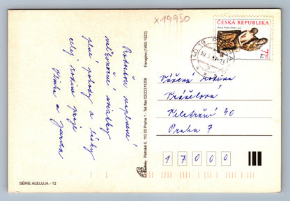 Pohlednice KRISTUS VSTAL Z MRTVÝCH, ALELUJA! (x19950)