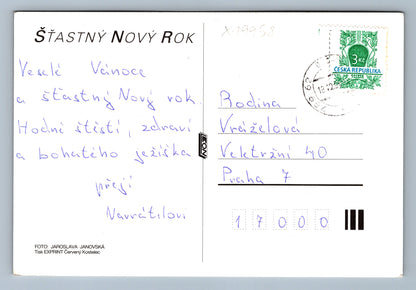 Pohlednice ŠŤASTNÝ NOVÝ ROK (x19958)