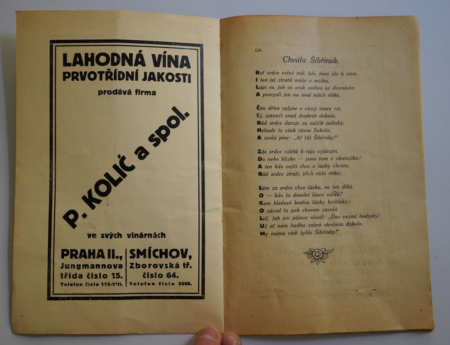 SOKOL SMÍCHOV II BÍLÁ - ČERNÁ SIBIŘINKOVÝ LIST