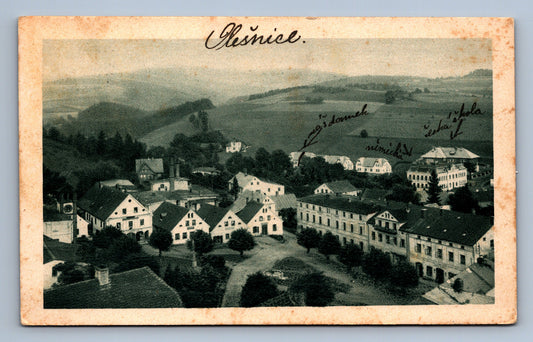 Pohlednice OLEŠNICE V ORLICKÝCH HORÁCH (ST253)
