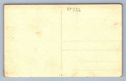 Pohlednice HANA KVAPILOVÁ SOCHA (ST286)