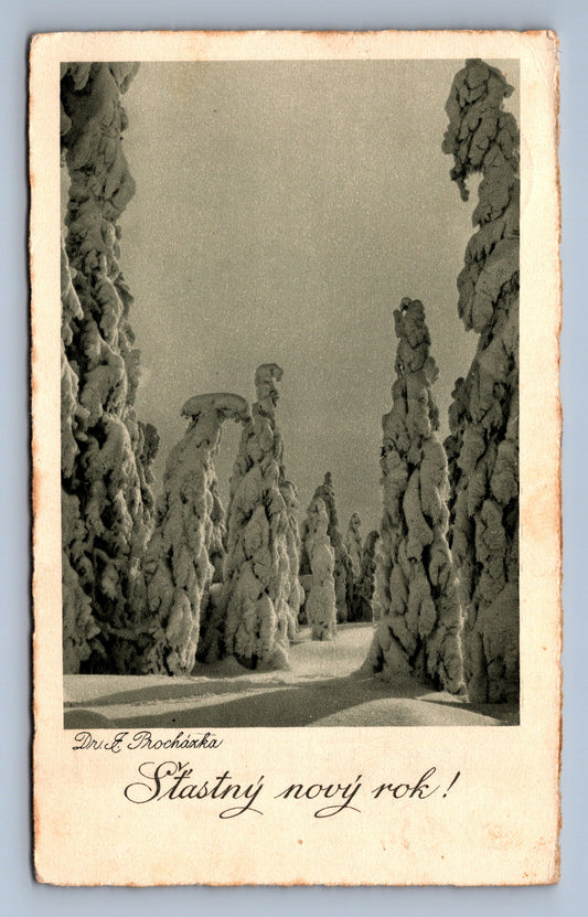Pohlednice PRCHÁZKA ŠTASTNÝ NOVÝ ROK JESENÍK (ST419)