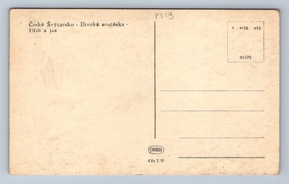 Pohlednice České Švýcarsko - Divoká soutěska - Hřib a jez (P319)