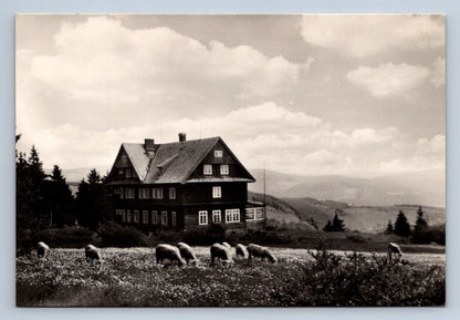Pohlednice JESENÍKY - VELKÉ VRBNO (P404)