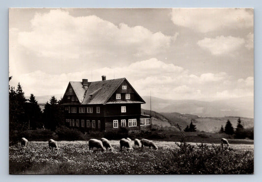 Pohlednice JESENÍKY - VELKÉ VRBNO (P404)