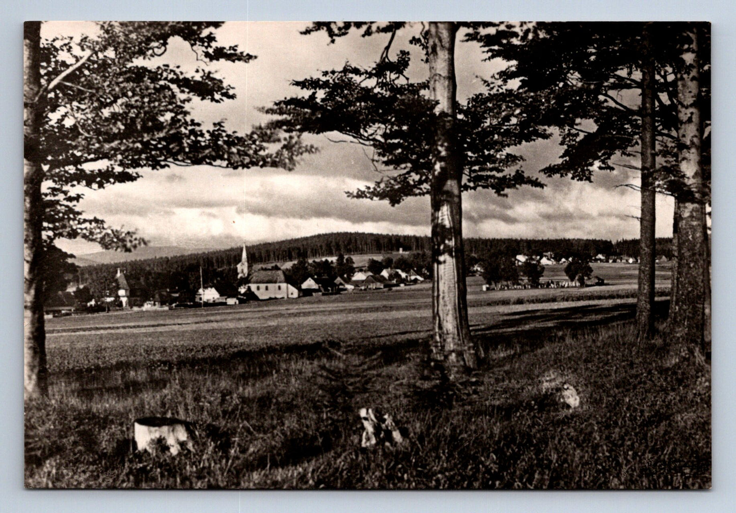 Pohlednice JESENÍKY - REJVÍZ - 780 m (P414)